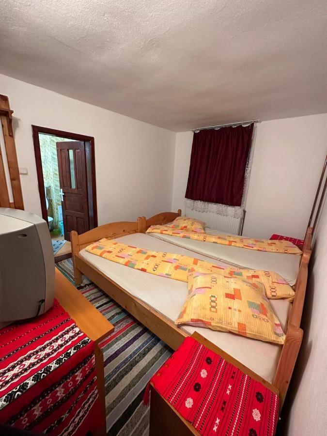 Casa Alex Villa Arieşeni Екстериор снимка